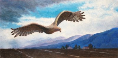 Flying-Free