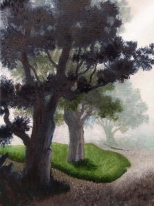 Misty Trees