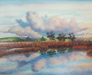 Moss-Landing