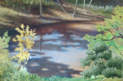 SHADOWED POND WITH REFLECTIONS