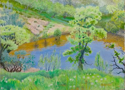 Spring in Cottonwood-
