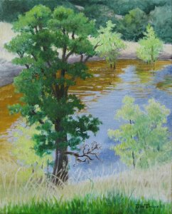 THE GOLDEN POND