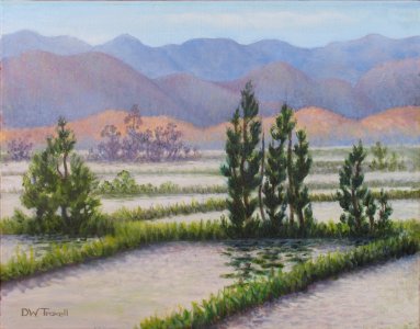 RICE FIELDS