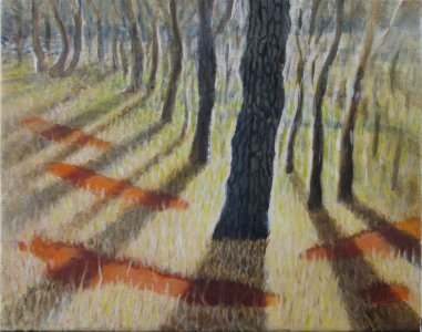 THE DRY WINTER
