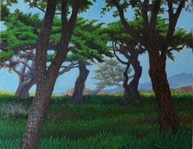 17 Mile Drive      14" x 18"