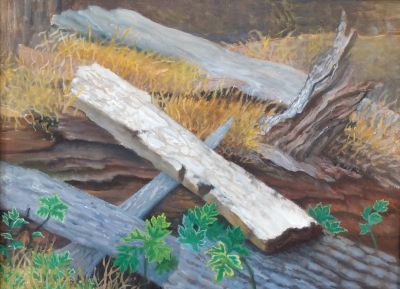 The Burn Pile