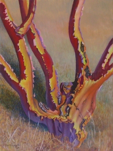 Manzanita Peel