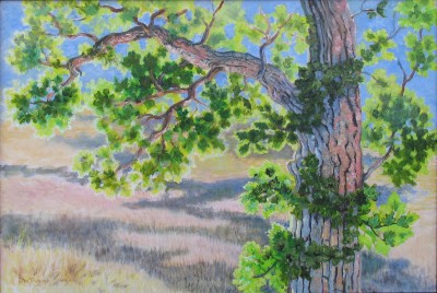 The Oak Yard